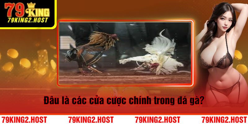 Các Cửa Cược Chính Trong Campuchia Đá Gà 79King