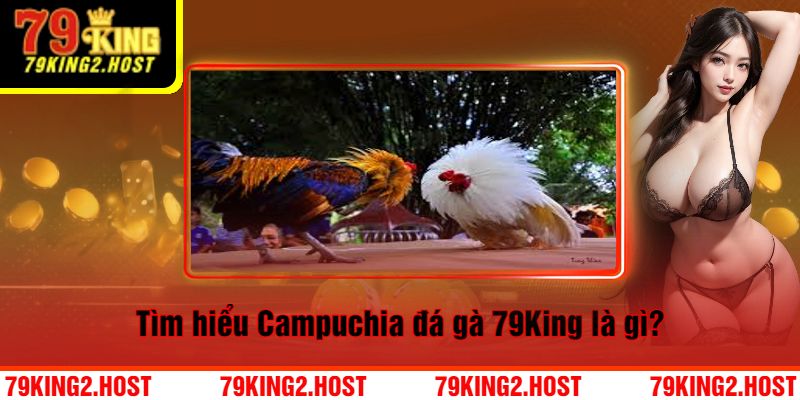 Campuchia Đá Gà 79King Là Gì?